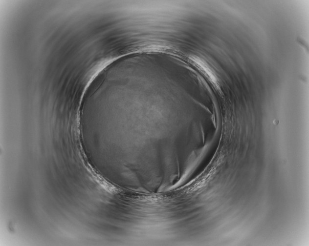 X0000096980948200802221431