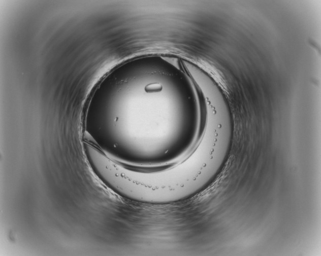 X0000096980950200802221431