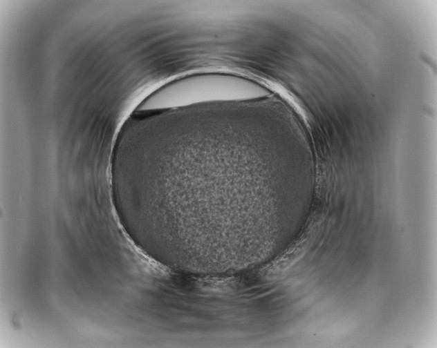 X0000096980951200802221431