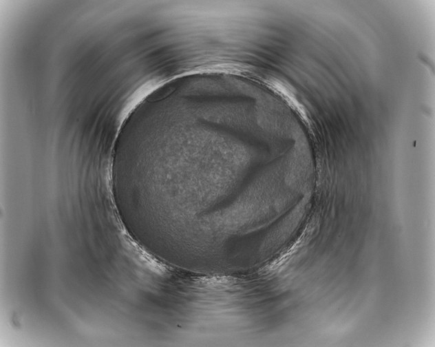 X0000096980952200802221431