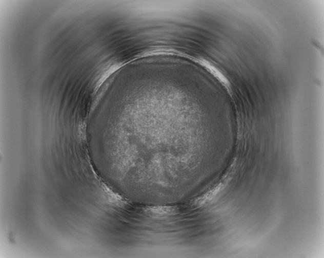 X0000096980953200802221431