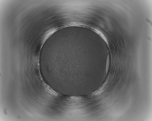 X0000096980954200802221431