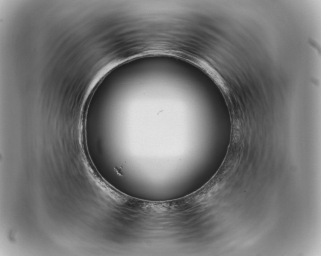 X0000096980955200802221431