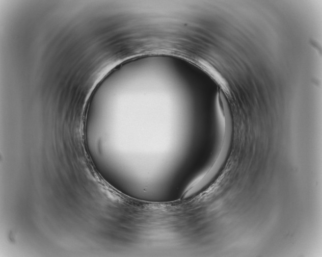 X0000096980956200802221431