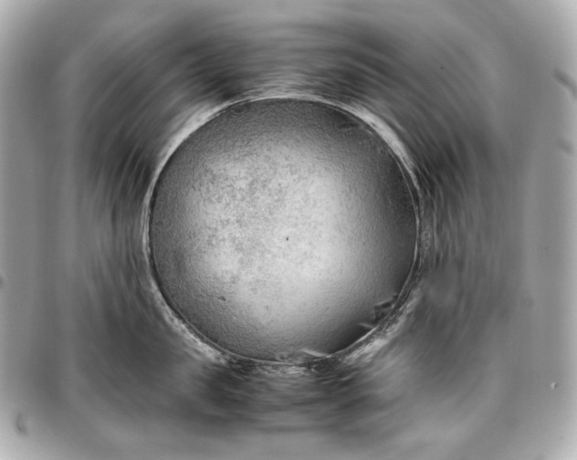 X0000096980957200802221431