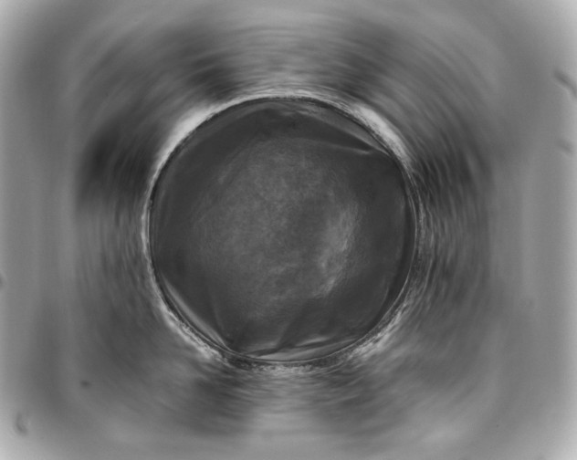 X0000096980958200802221431