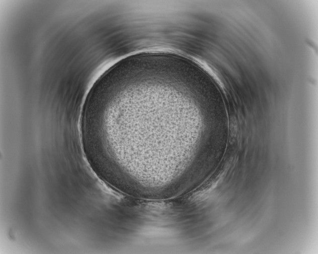 X0000096980959200802221431