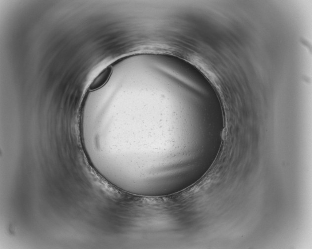 X0000096980960200802221431