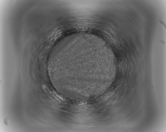 X0000096980961200802221431