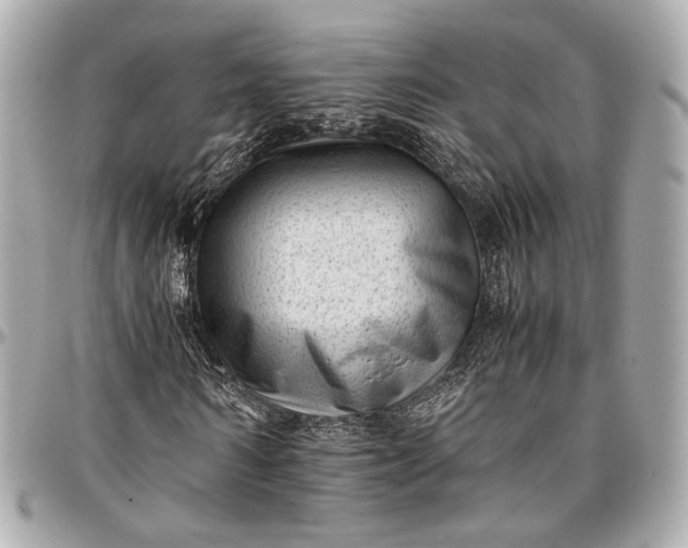 X0000096980962200802221431