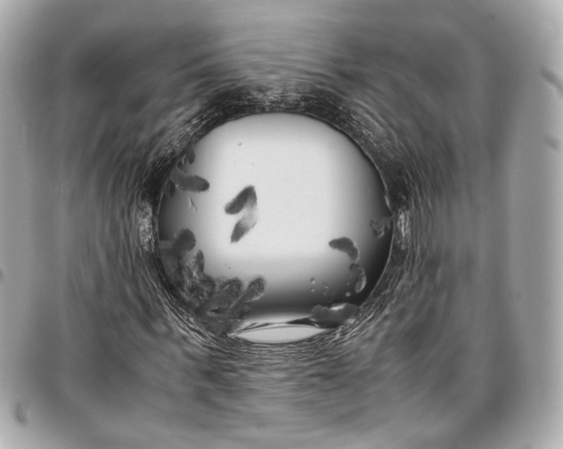 X0000096980963200802221431