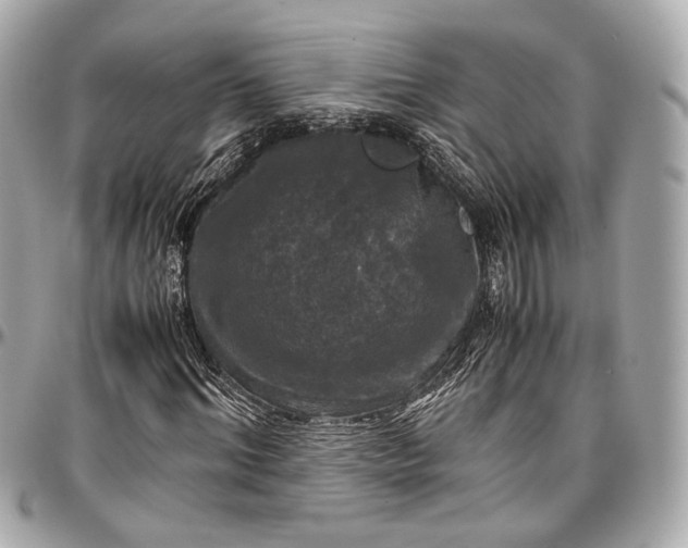 X0000096980964200802221430