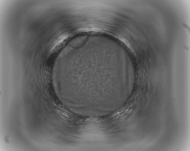 X0000096980967200802221430