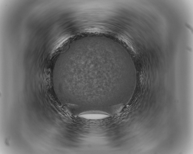 X0000096980968200802221430