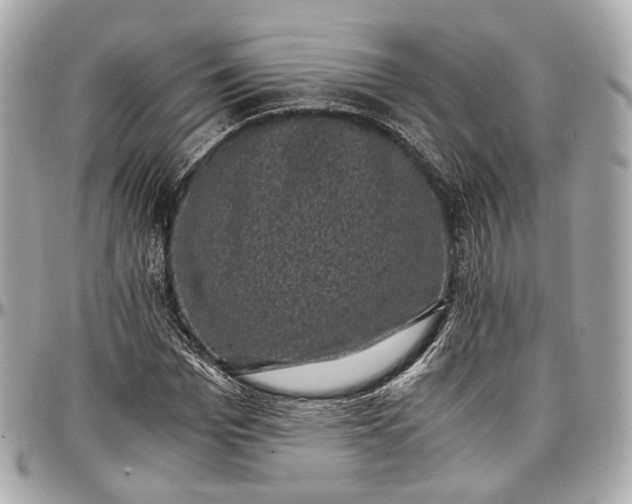 X0000096980969200802221430