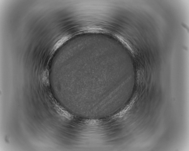 X0000096980970200802221430