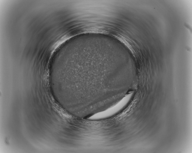 X0000096980971200802221430