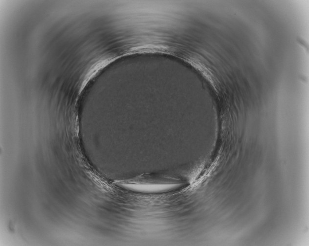 X0000096980973200802221430