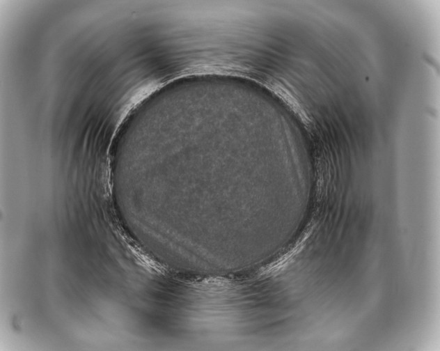 X0000096980974200802221430