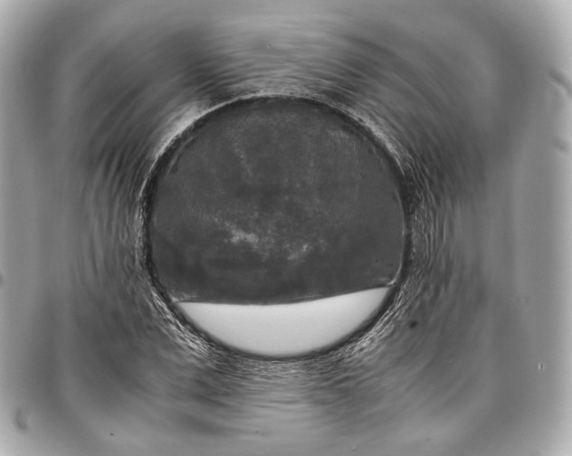 X0000096980975200802221430