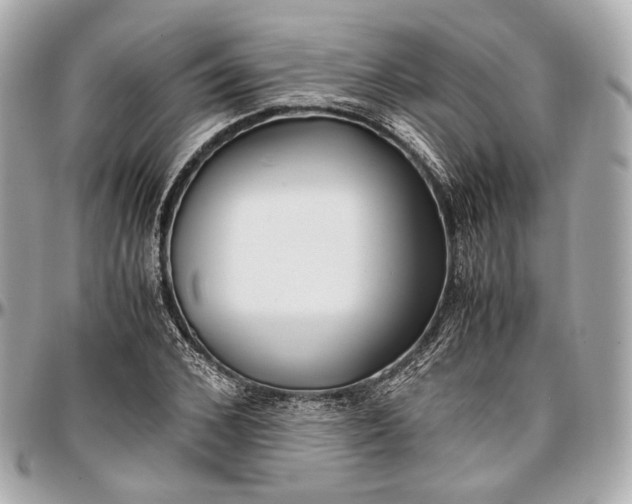 X0000096980976200802221430