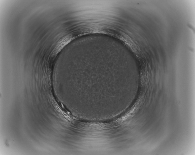 X0000096980977200802221430