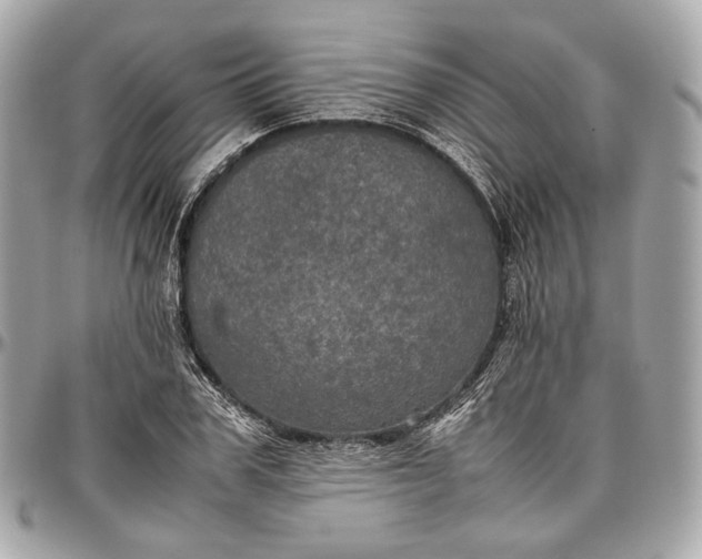 X0000096980979200802221430