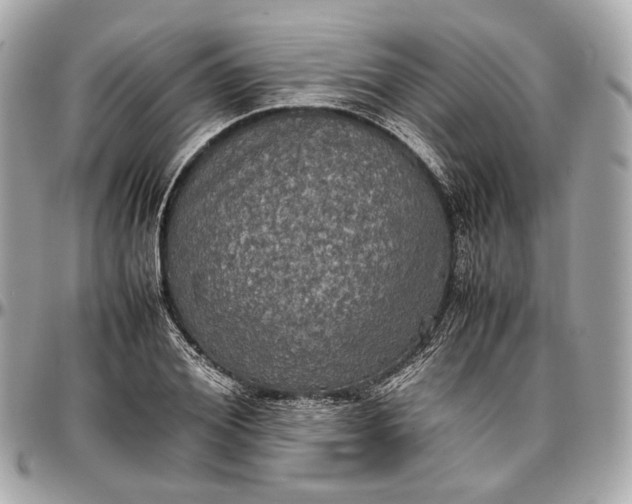 X0000096980980200802221430