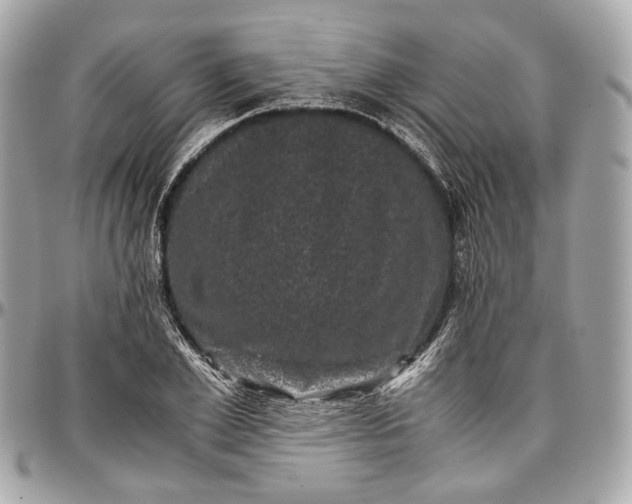 X0000096980981200802221430