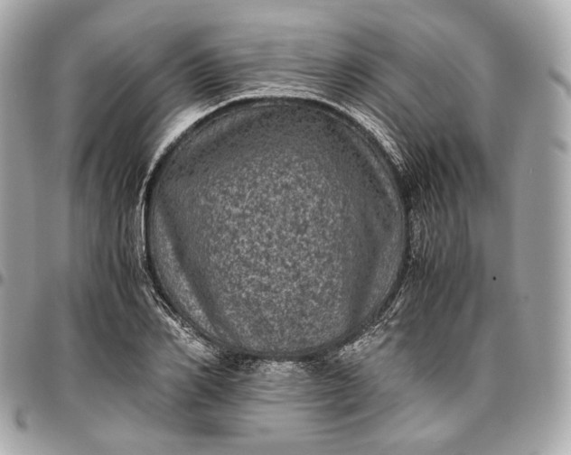 X0000096980982200802221430