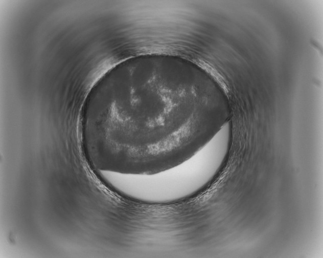 X0000096980983200802221430