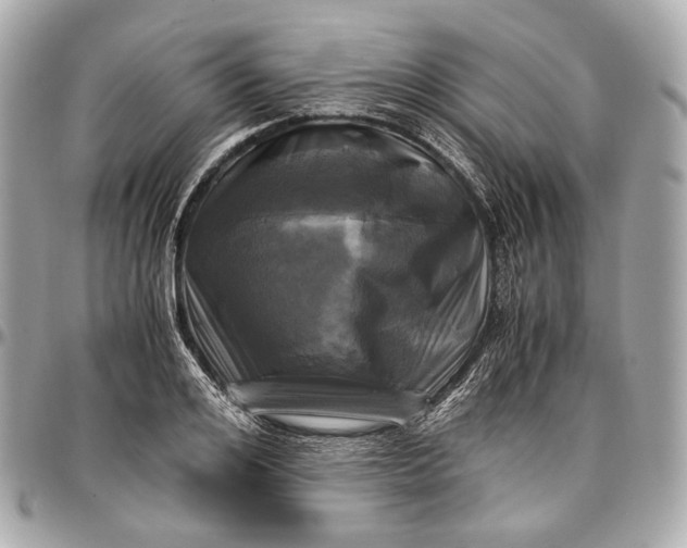 X0000096980984200802221430