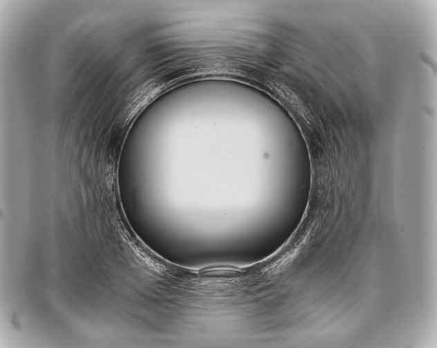 X0000096980985200802221430