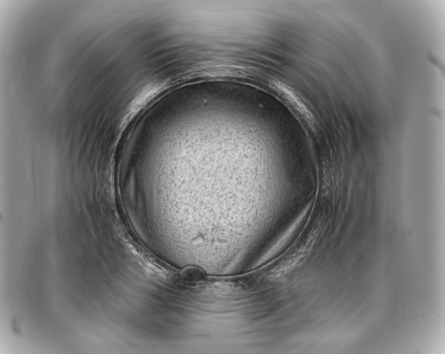 X0000096980986200802221430