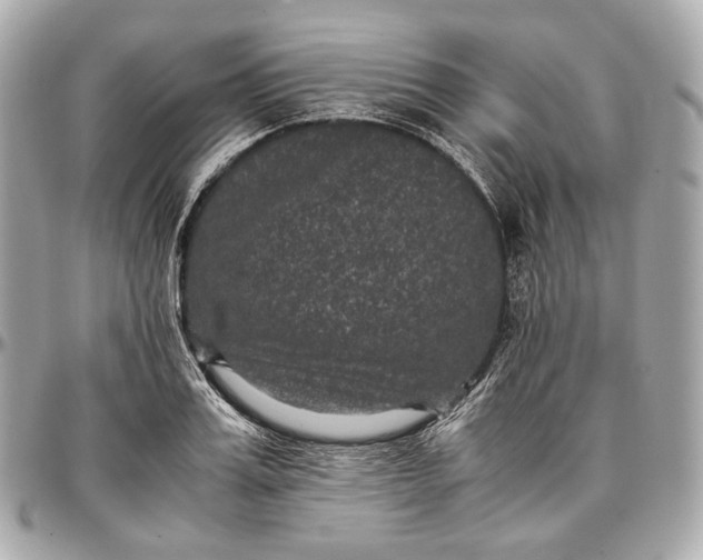 X0000096980987200802221430