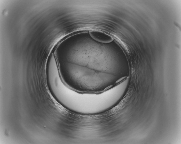 X0000096980988200802221430