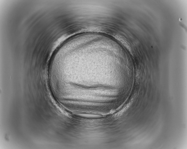 X0000096980989200802221430