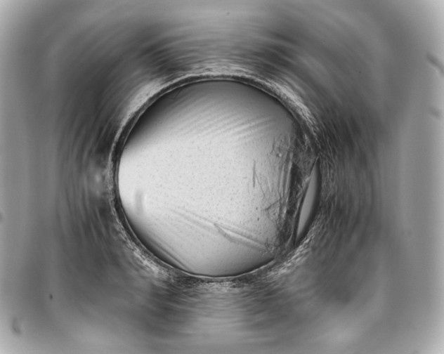 X0000096980990200802221430