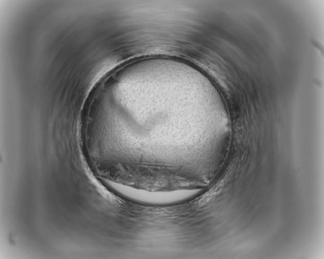 X0000096980991200802221430