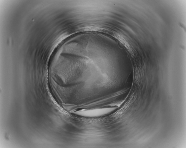 X0000096980992200802221430