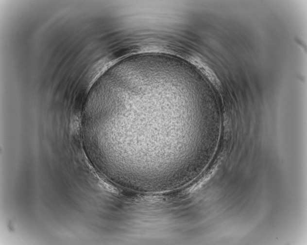 X0000096980993200802221430