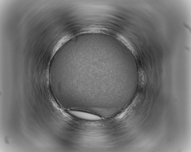 X0000096980994200802221430