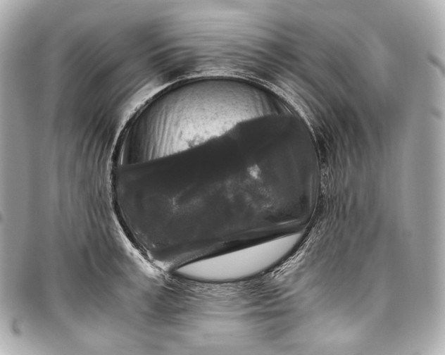 X0000096980995200802221430