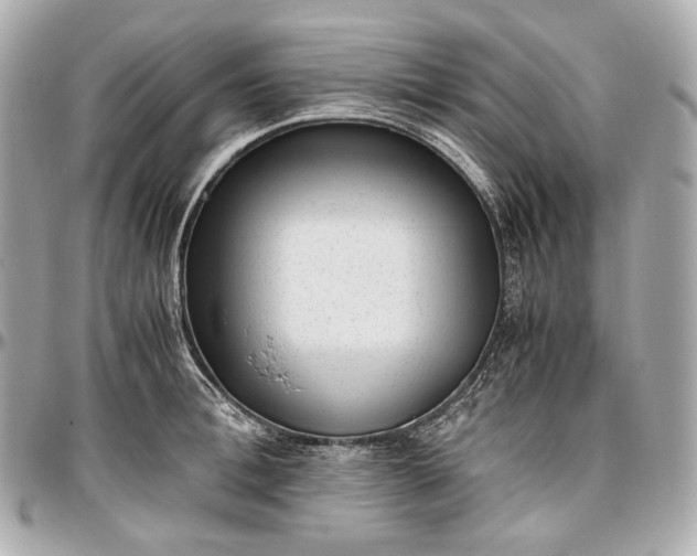 X0000096980996200802221430