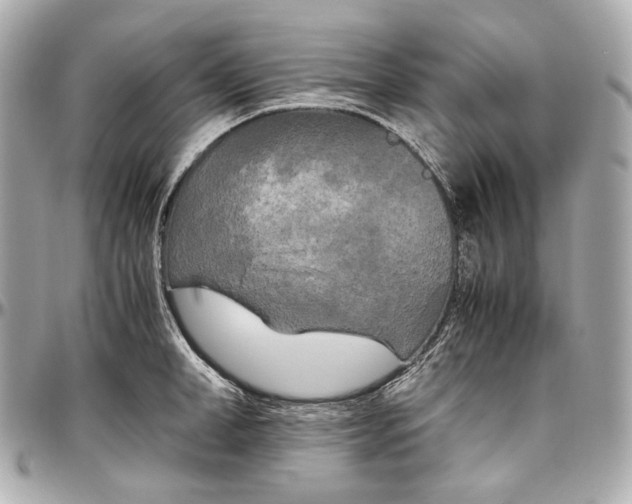 X0000096980998200802221430