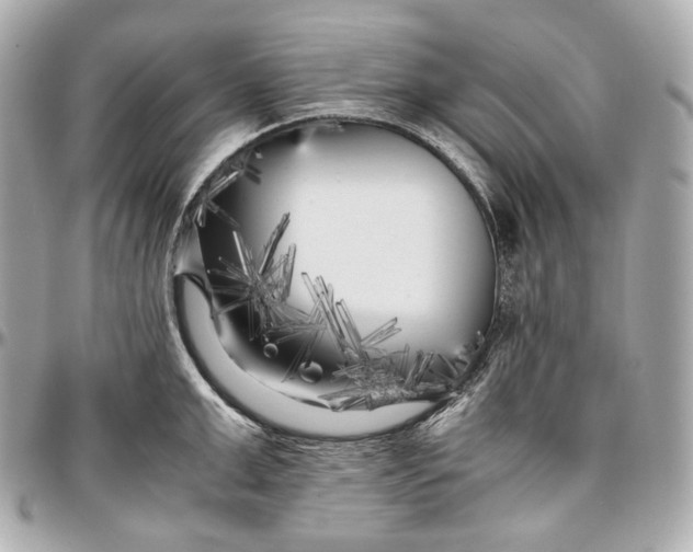 X0000096980999200802221430