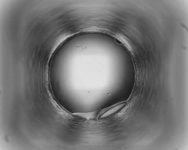 X0000096981000200802221430