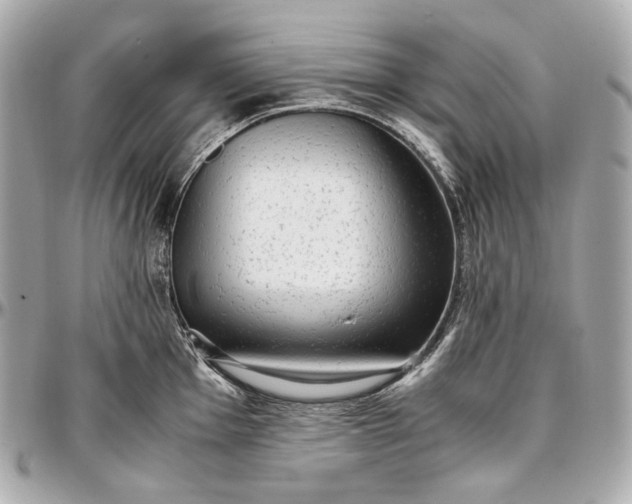 X0000096981001200802221430