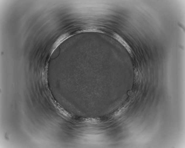 X0000096981002200802221430