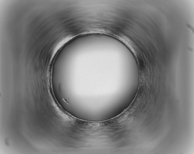 X0000096981003200802221430